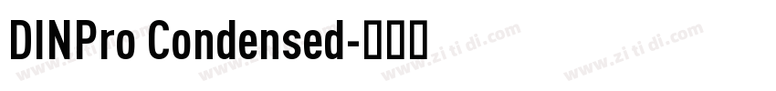 DINPro Condensed字体转换